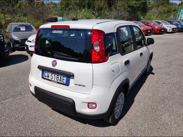 FIAT Panda 1.0 firefly hybrid s&s 70cv