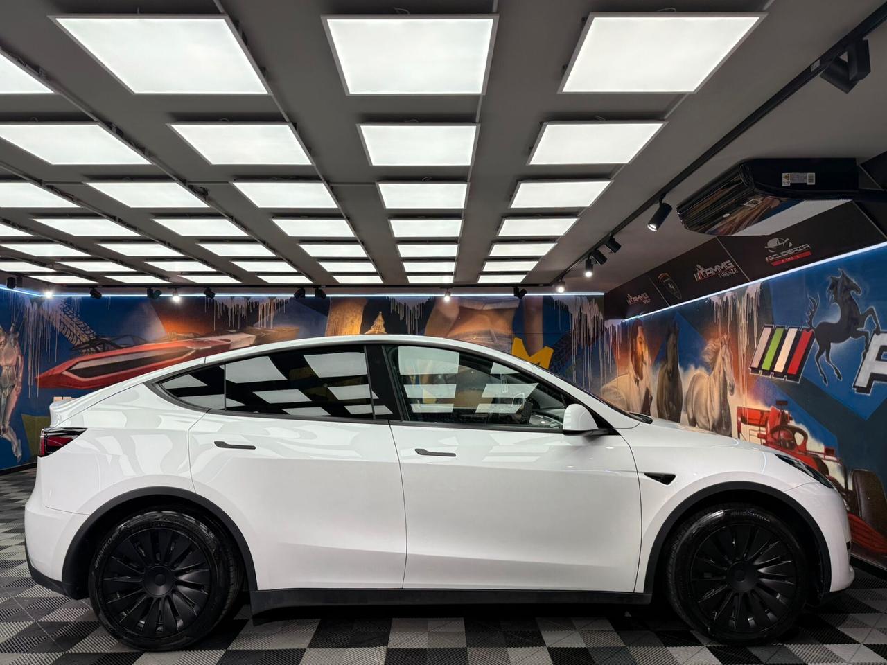 Tesla Model Y RWD (485)