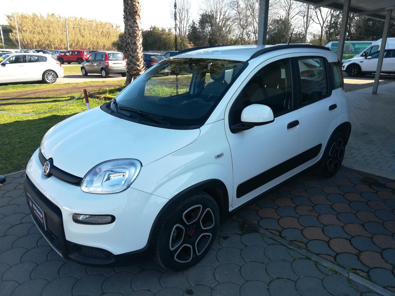 FIAT - Panda - 1.0 FireFly S&S Hybrid City Life - NEOPATENTATI - FINANZIABILE - PERMUTE