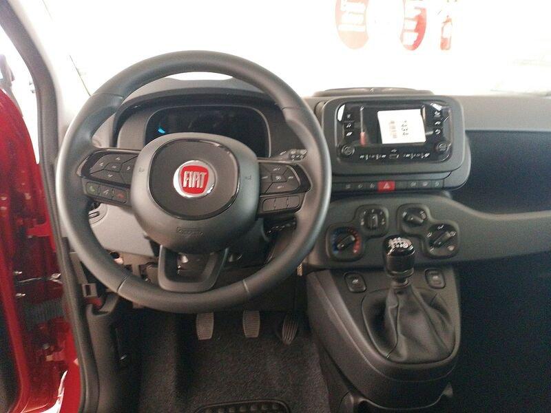 FIAT Panda NEW My25 1.0 70cv Hybrid Panda