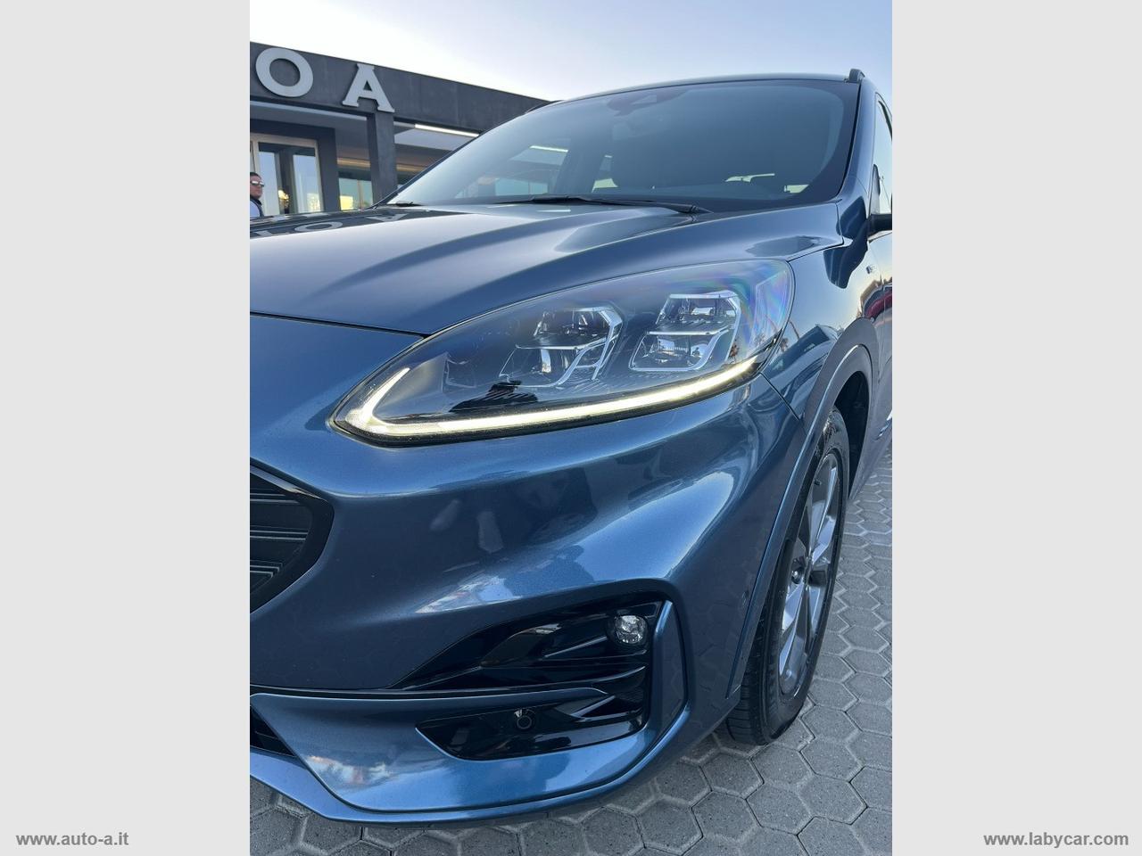FORD Kuga 1.5 EcoBlue 120 CV aut. 2WD ST-Line