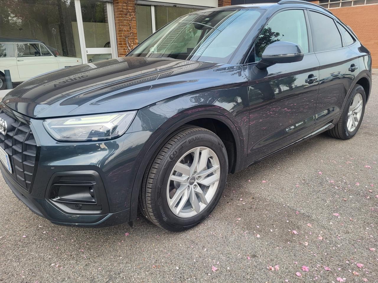 Audi Q5 50 TDI quattro tiptronic S line plus