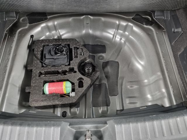 CUPRA Leon 2.0 TDI 150 CV DSG