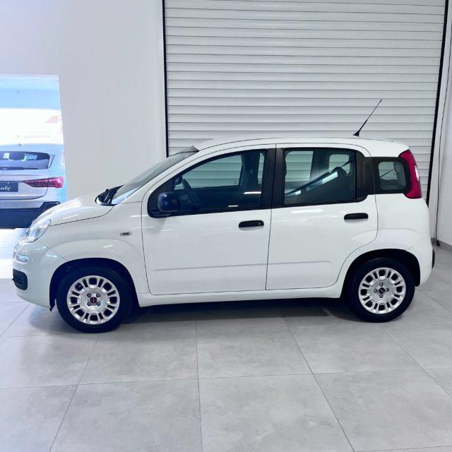 FIAT Panda 1.2 EasyPower Easy