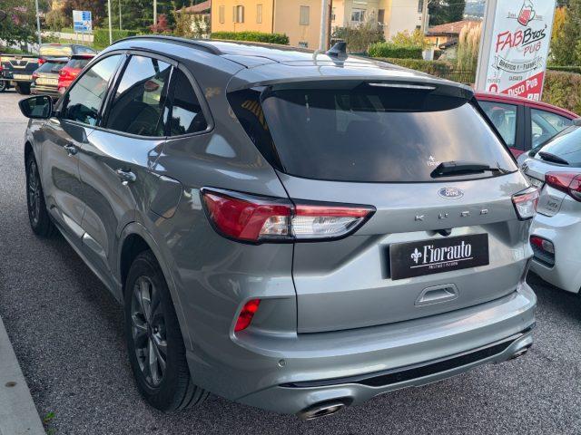 FORD Kuga 1.5 EcoBlue 120 CV 2WD ST-Line