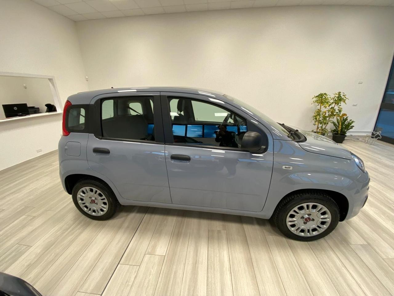 Fiat Panda 1.2 Easy Paro al nuovo