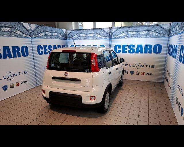 FIAT New Panda 1.0 firefly hybrid 70cv