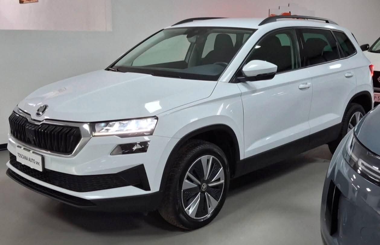 Skoda Karoq 2.0 TDI EVO SCR 115 CV DSG Style