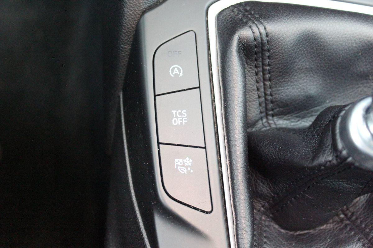 FORD - Focus Station Wagon - Focus 1.5 EcoBlue 120CV SW Business