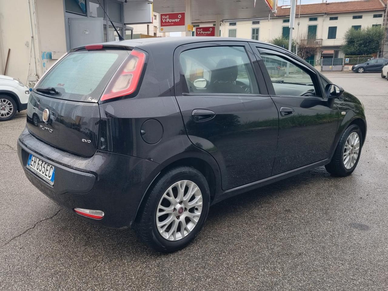 Fiat Punto Evo 1.3 Mjt 95 CV DPF 5 porte S&S Emotion