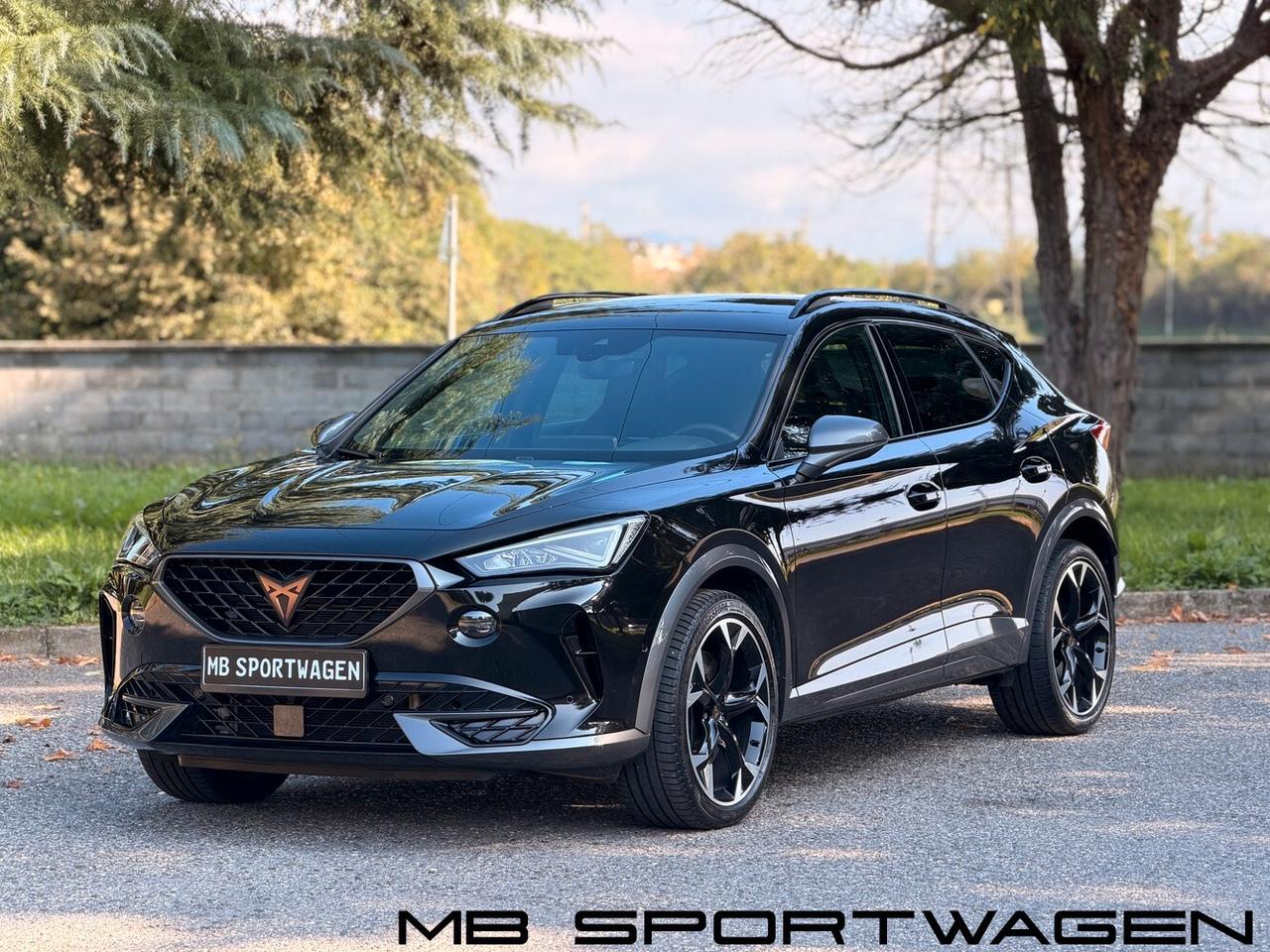 CUPRA FORMENTOR 2.0 TSI 245 CV DSG