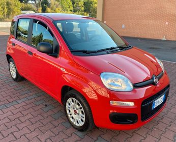 FIAT PANDA EASY 1.2cc 5 POSTI