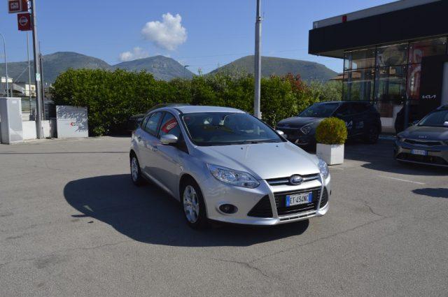 FORD Focus 1.6 TDCi 95 CV Business