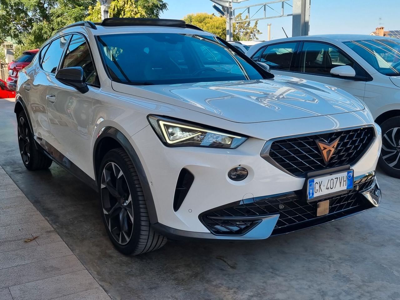 Cupra Formentor 2.0 tdi 4drive 150cv dsg
