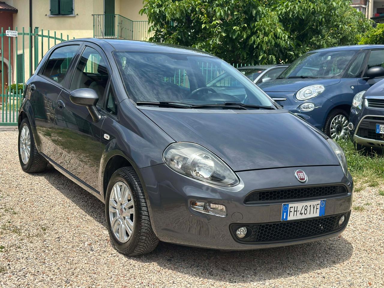 Fiat PUNTO 1.2 STREET KMCERT NEOPAT PERFETTA