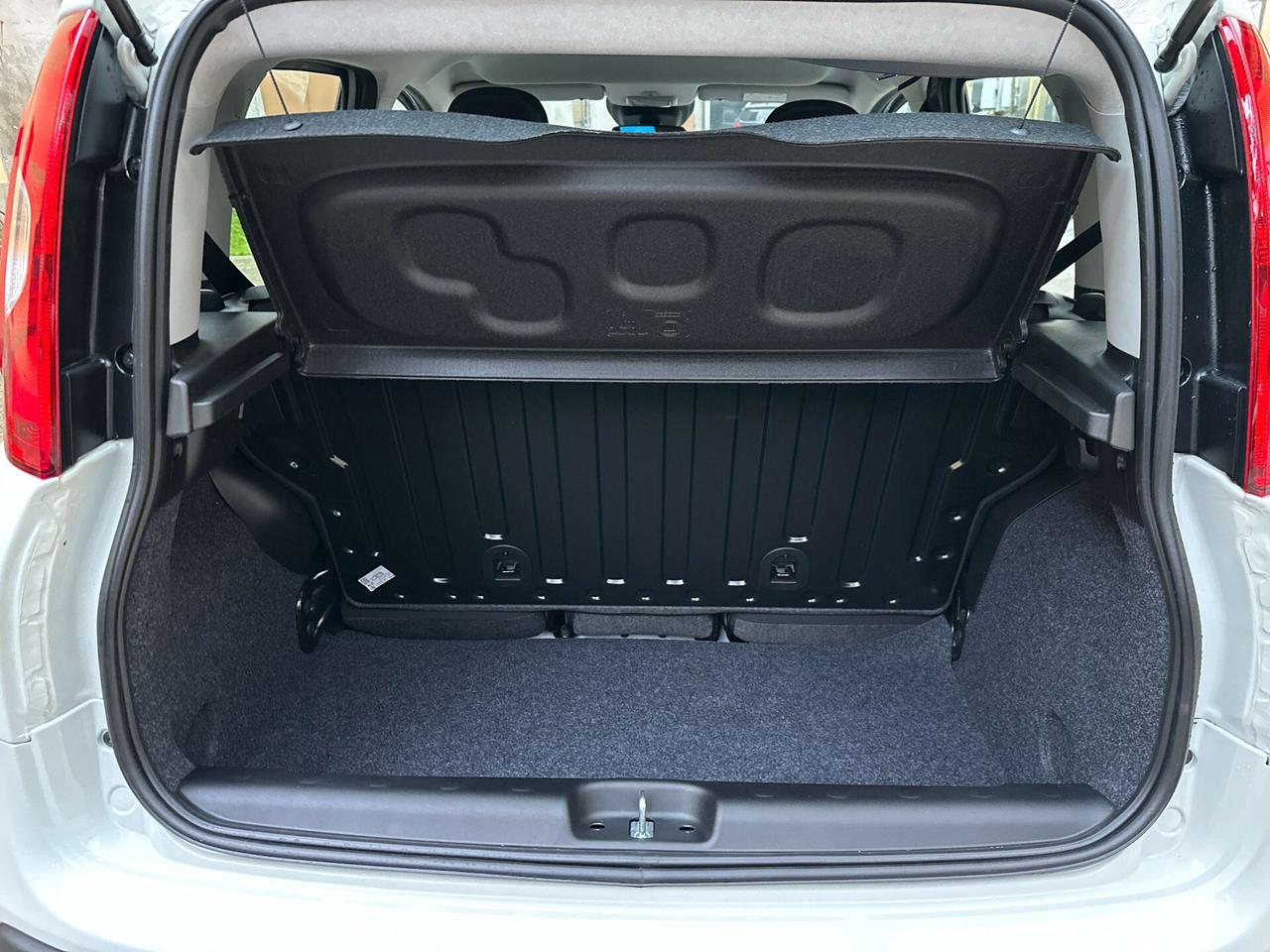 Fiat Panda 1.0 FireFly S&S Hybrid Pandina