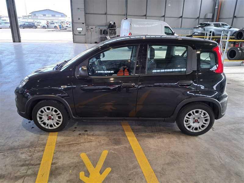 FIAT PANDA 1.0 FireFly 70cv S/S Hybrid 5 PORTE