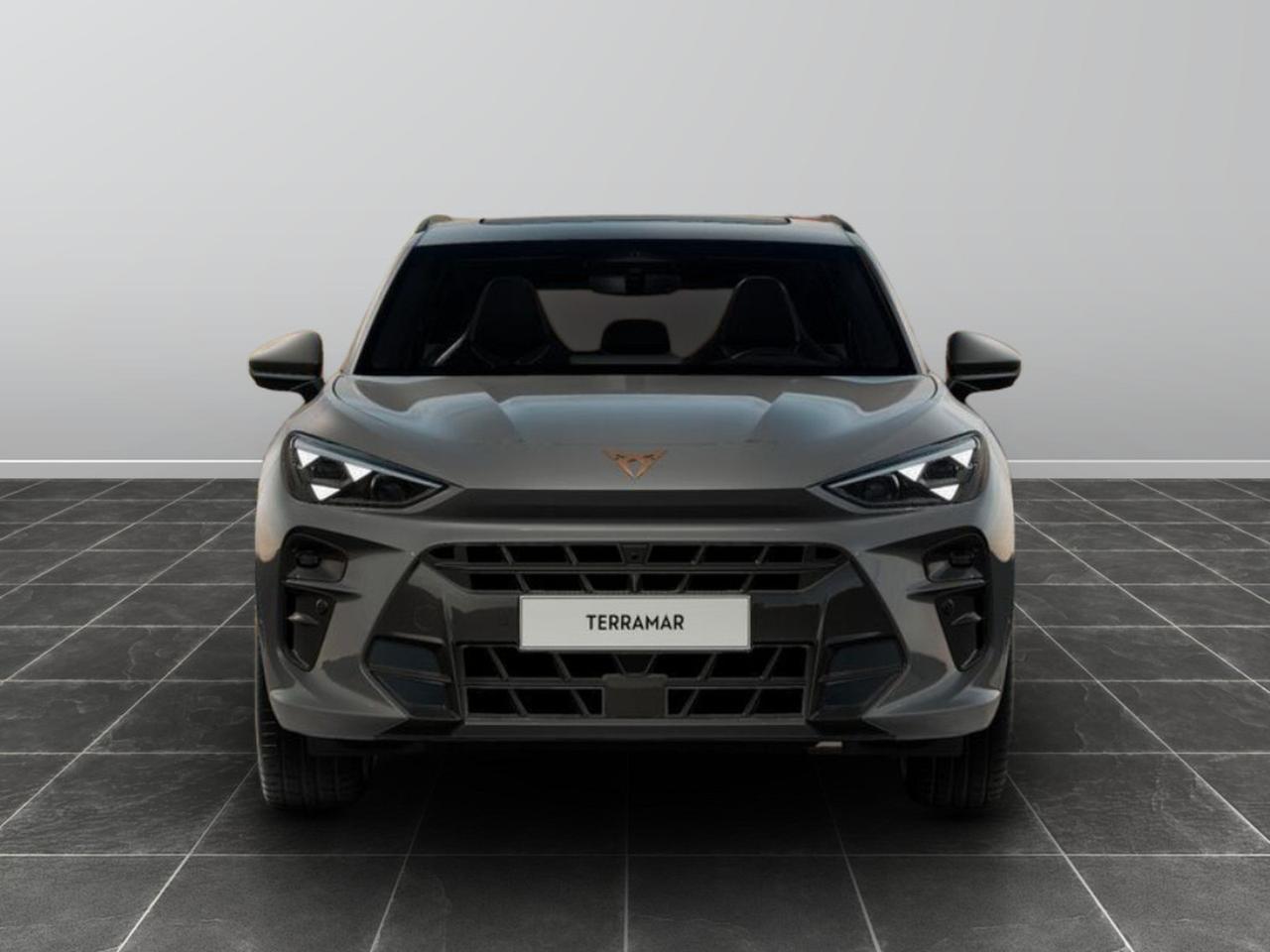 Cupra Terramar 2.0 tsi 265cv vz 4drive dsg