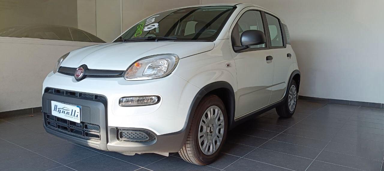 Fiat Panda 1.0 FireFly S&S Hybrid Pandina KM ZERO