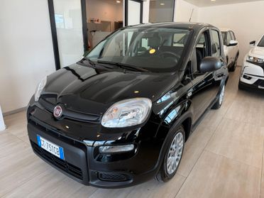 FIAT PANDA my24 1.0 hybrid 70cv