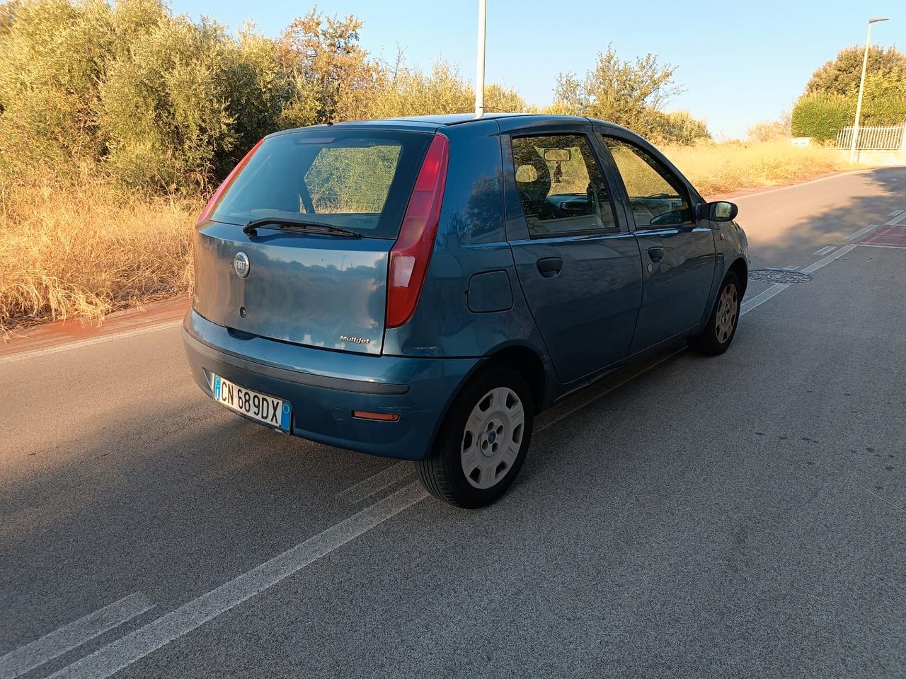 Fiat Punto 1.3 Multijet 16V 5 porte Active