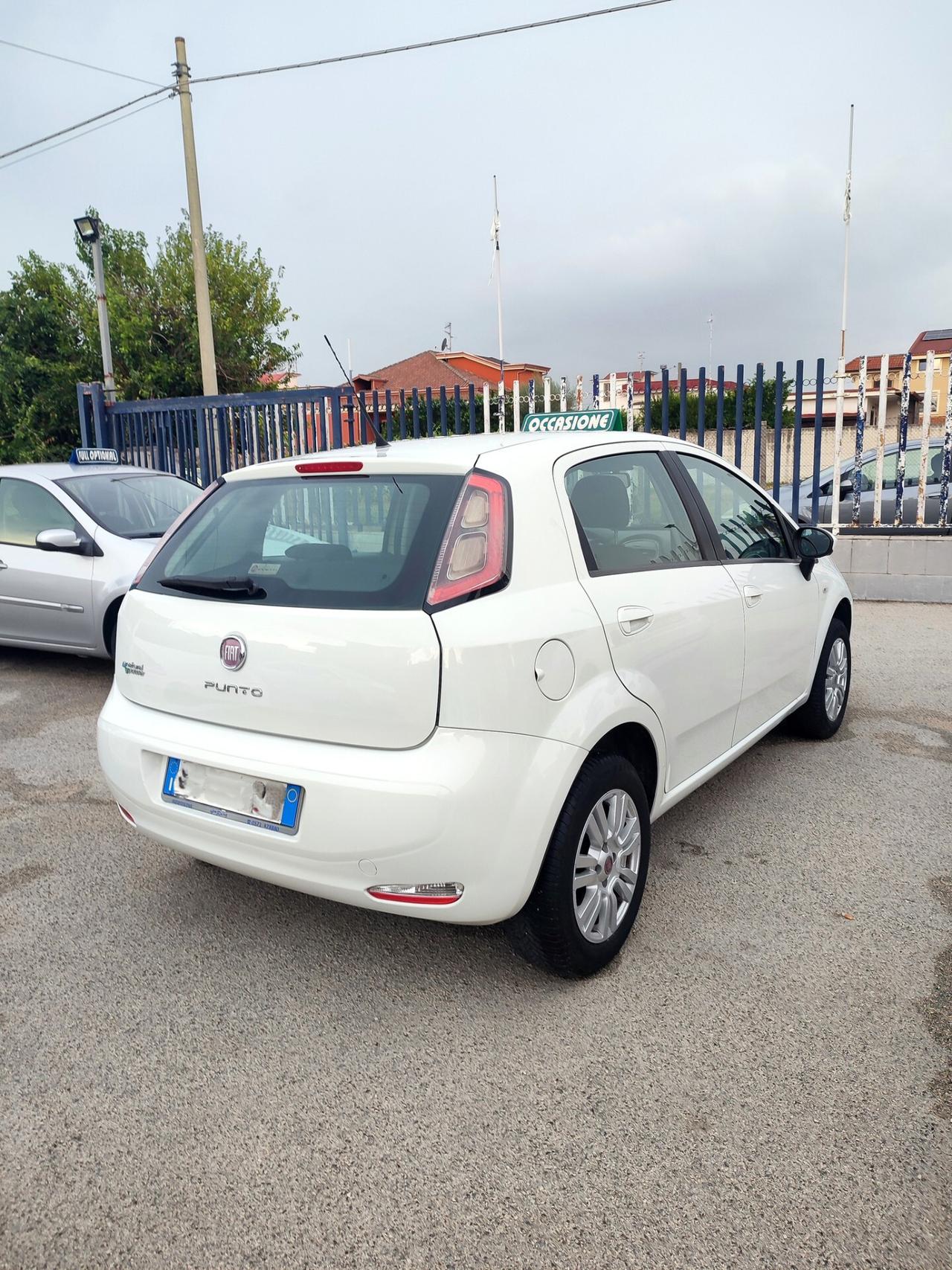 Fiat Punto 1.4 8V 5 porte Natural Power Lounge 77CV