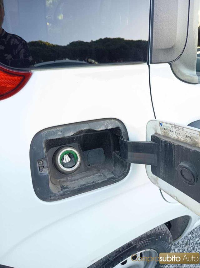 FIAT Panda 1.0 FireFly VAN Hybrid + IVA 22%