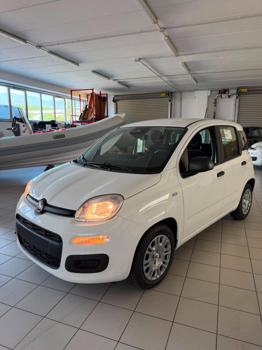 FIAT - Panda - 1.0 FireFly S&S Hybrid Pandina