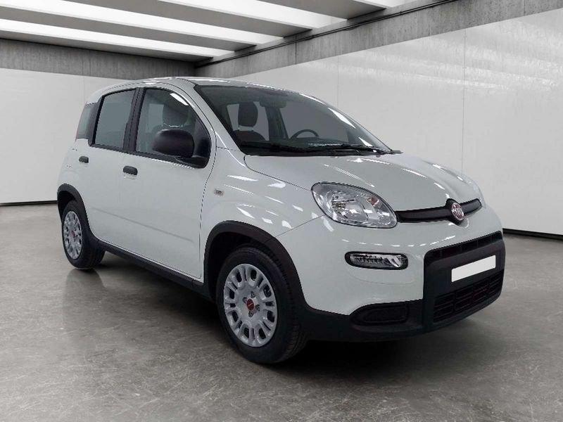 FIAT Panda 1.0 firefly hybrid s&s 70cv 5p.ti