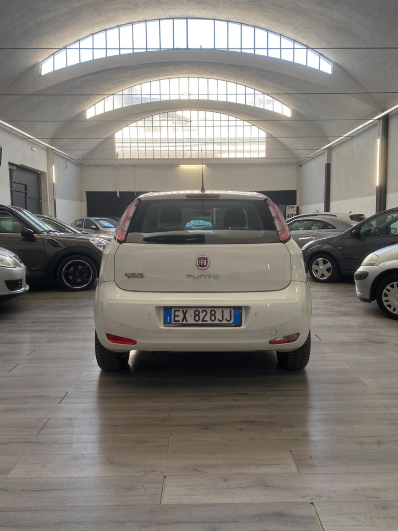Fiat Punto 1.4 8V 5 porte Natural Power Lounge