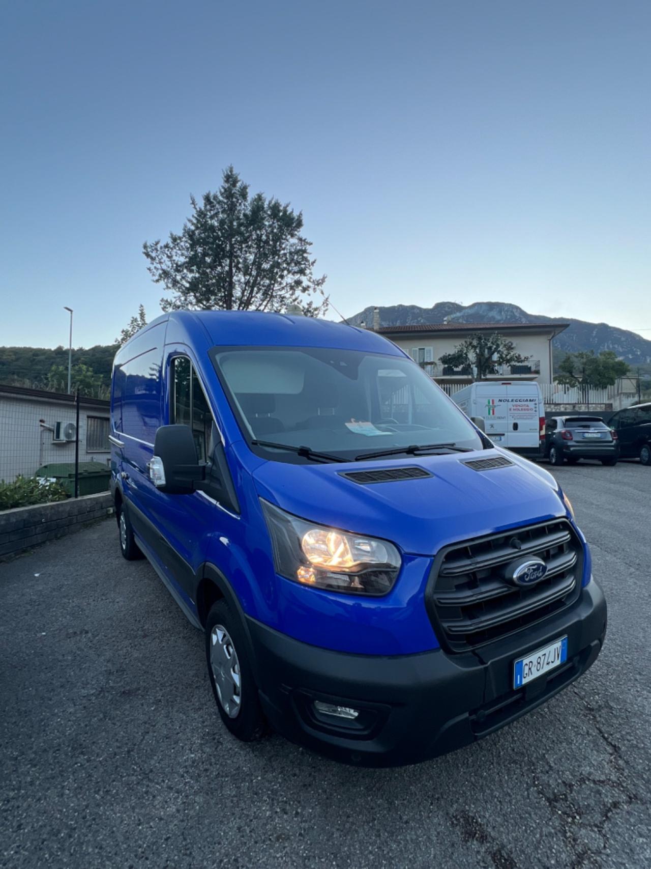 Ford Transit 290 2.0TDCi EcoBlue PM-TM Furgone