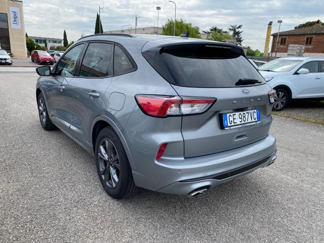 FORD Kuga 1.5 EcoBlue 120 CV 2WD ST-Line KM CERTIFICATI