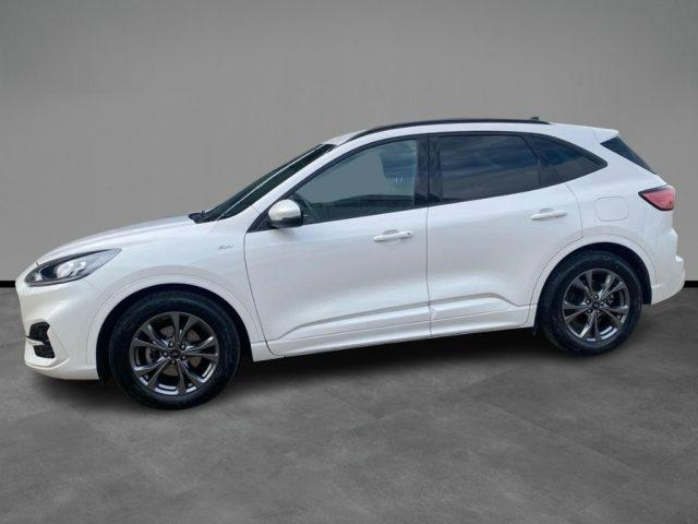 FORD Kuga 1.5 EcoBlue 120 CV 2WD ST-Line