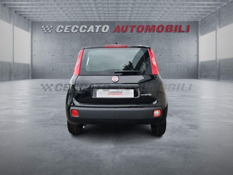FIAT Panda Panda 1.0 firefly hybrid s&s 70cv