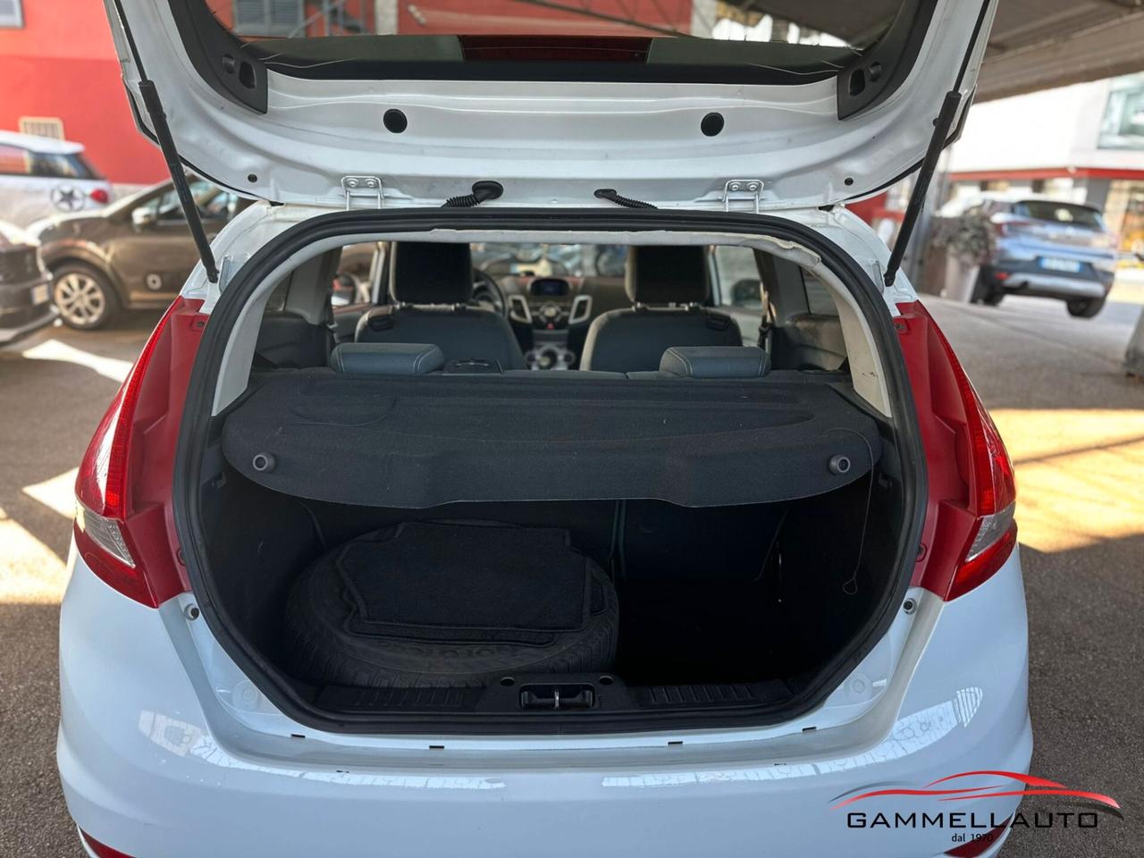 Ford Fiesta 1.4 GPL IKON 96CV E5