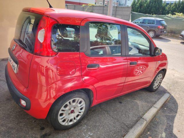 FIAT Panda 1.2 EasyPower Lounge PREZZO REALE - NEOPATENTATI