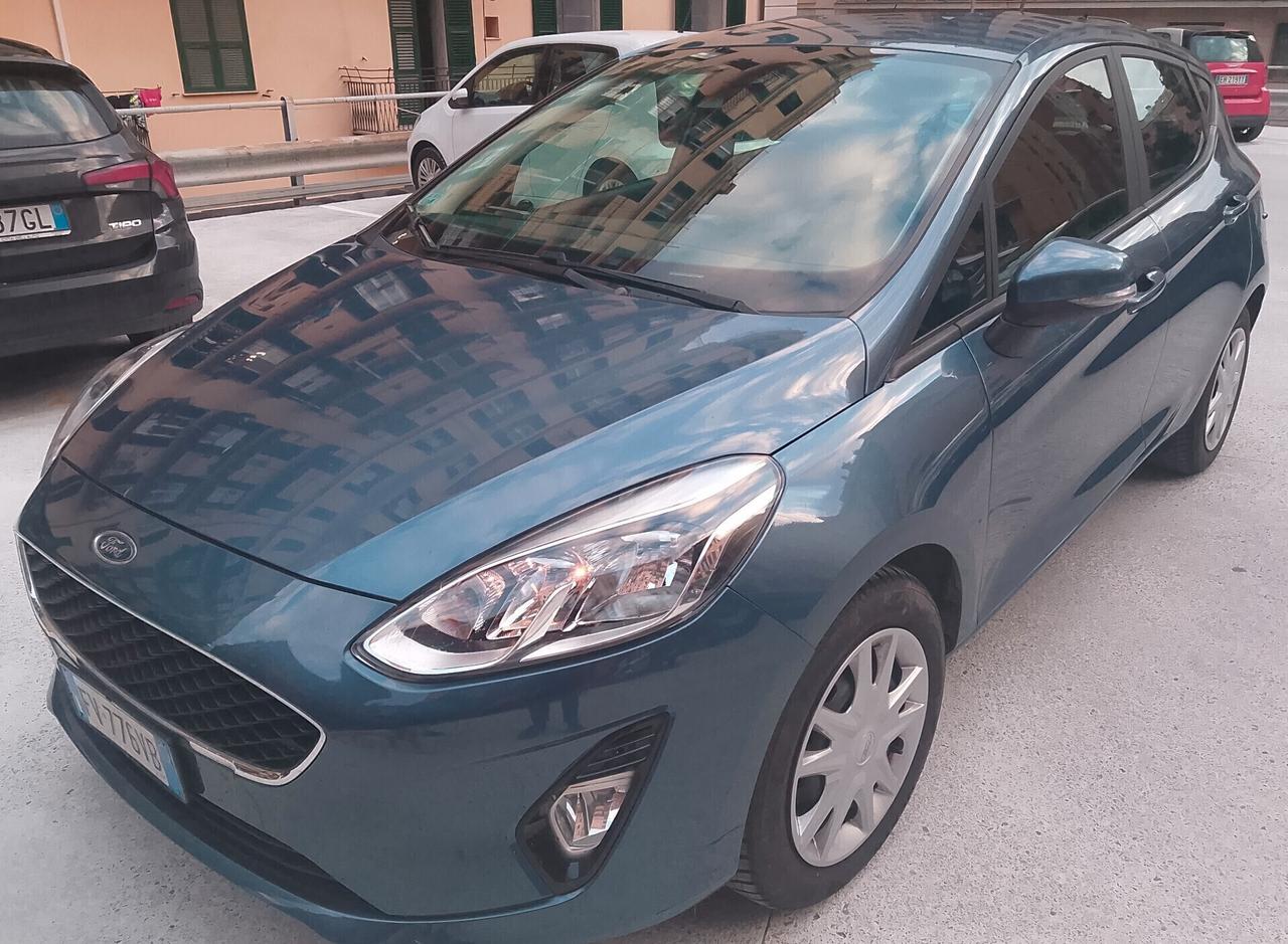 Ford Fiesta 1.1 85 CV 5 porte Plus