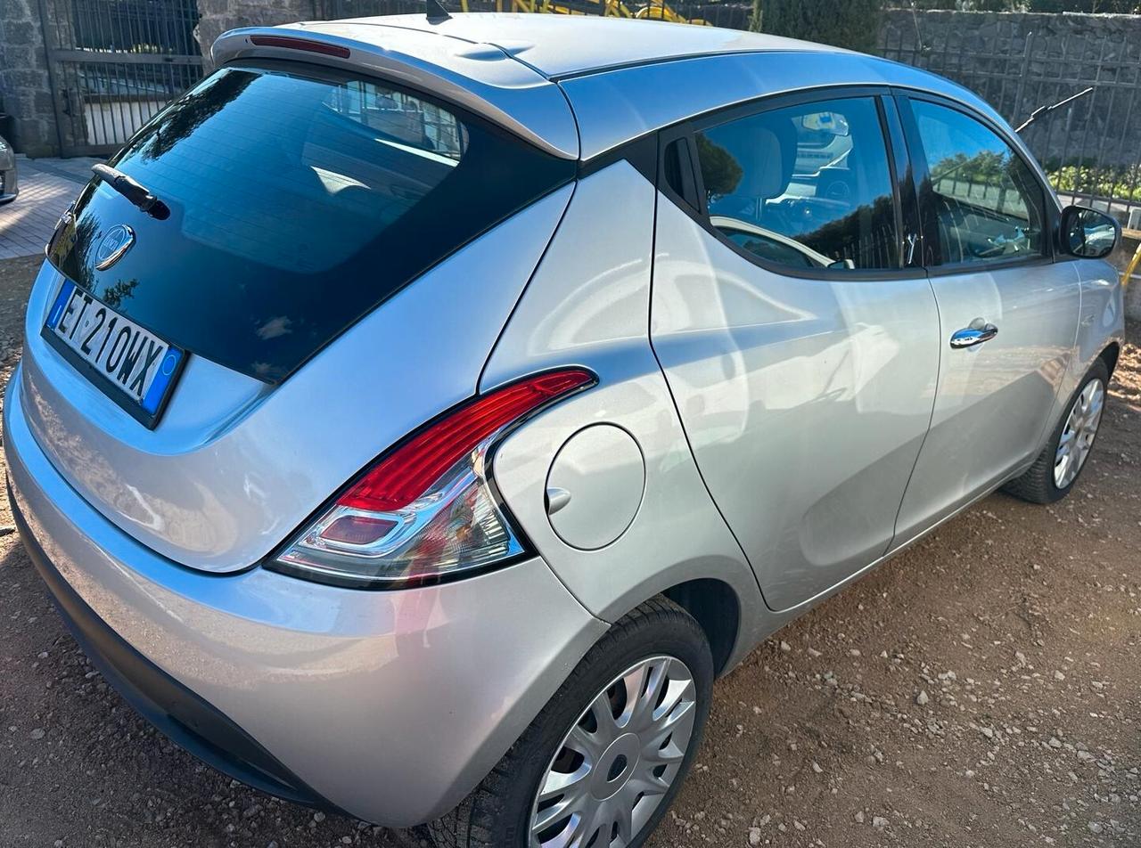 Lancia Ypsilon 1.3 MJT 16V 95 CV 5 porte Elefantino CLIMA MULTIFUNZIONE PDC