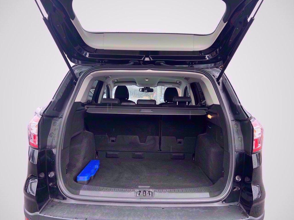 FORD Kuga 1.5 tdci Edition s&s 2wd 120cv powershift del 2019