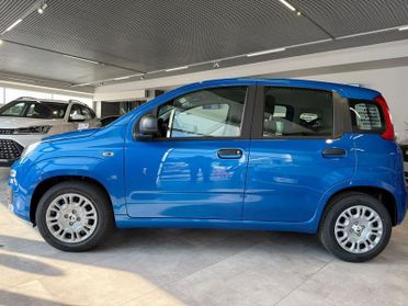 FIAT Pandina Pandina 5p 1.0 FireFly 65cv S&S 6m Hybrid Icon