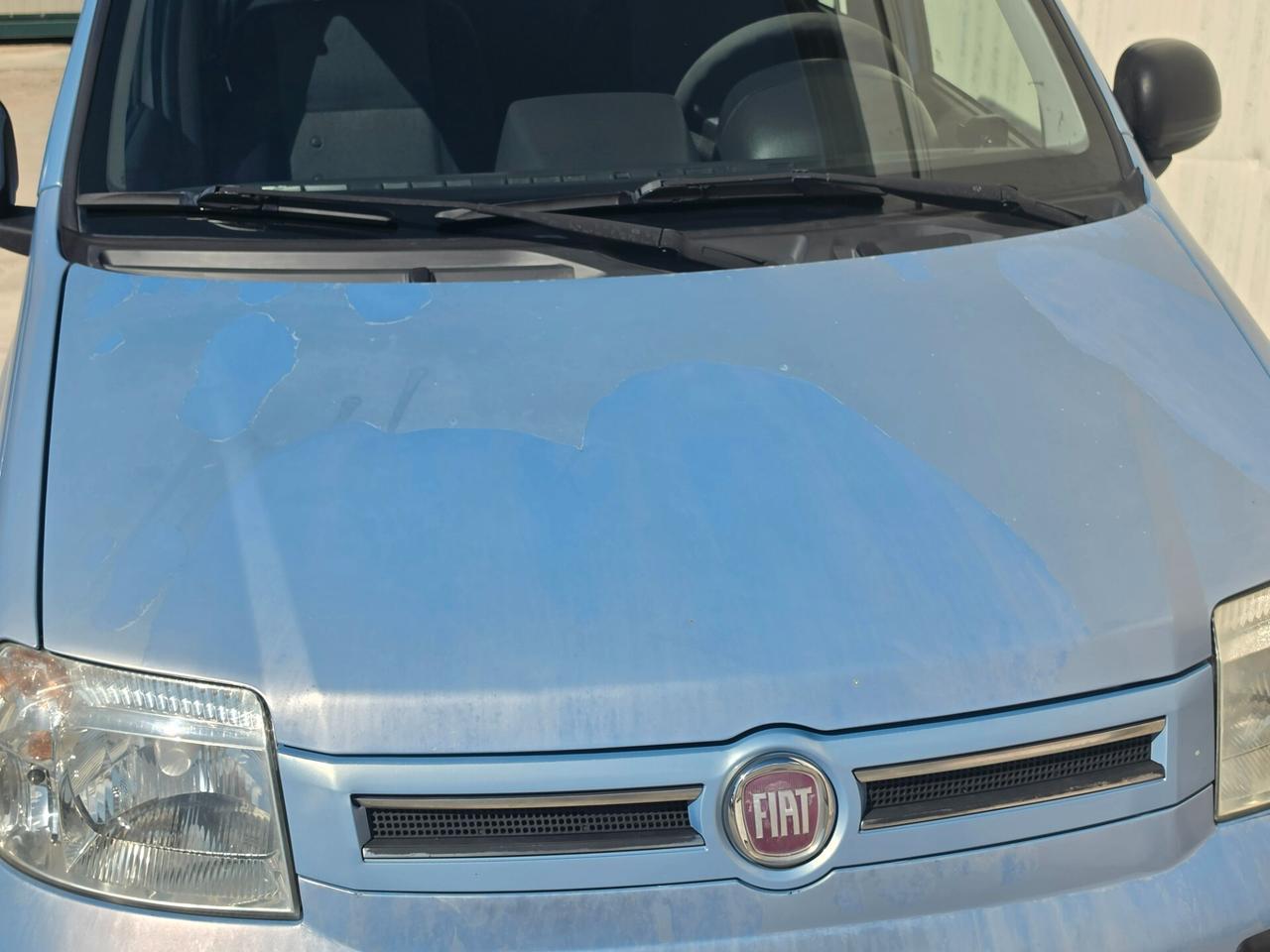 Fiat Panda 1.2 benzina 70cv