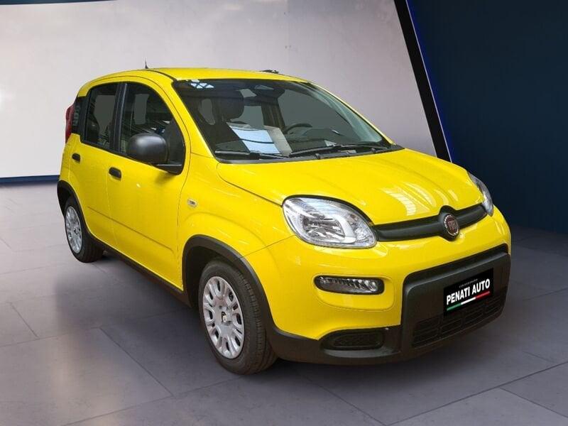 FIAT Panda 1.0 FireFly S&S Hybrid Nuova Versione !!!!