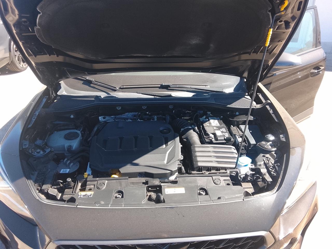 CUPRA Formentor 2020 - Formentor 2.0 tdi 4drive 150cv dsg