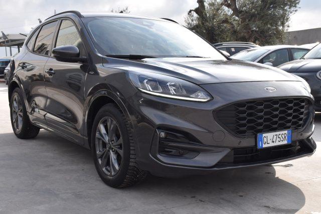 FORD Kuga 1.5 EcoBlue 120 CV 2WD ST-Line