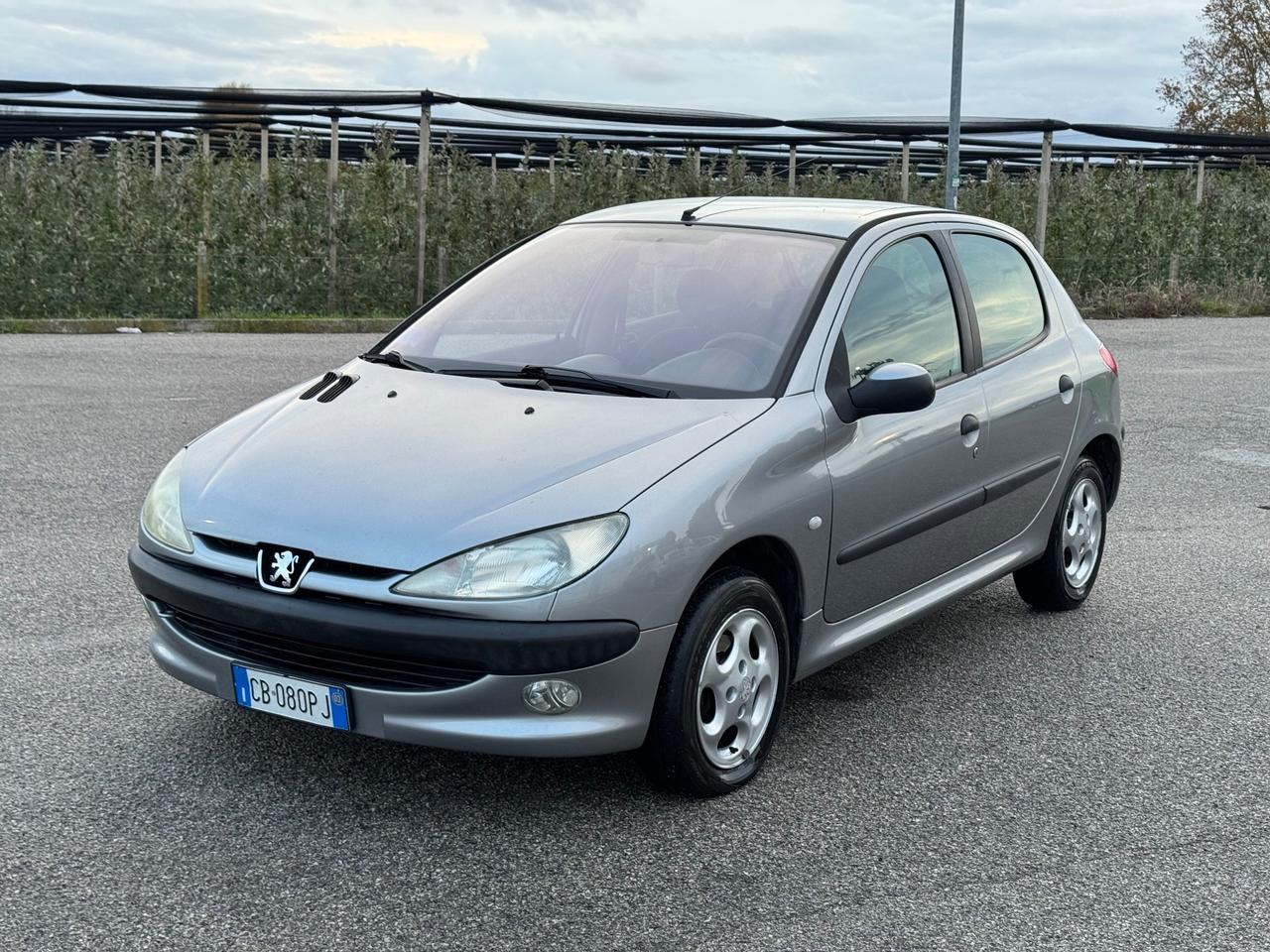Peugeot 206 1.4 diesel 2002 x neopatentati