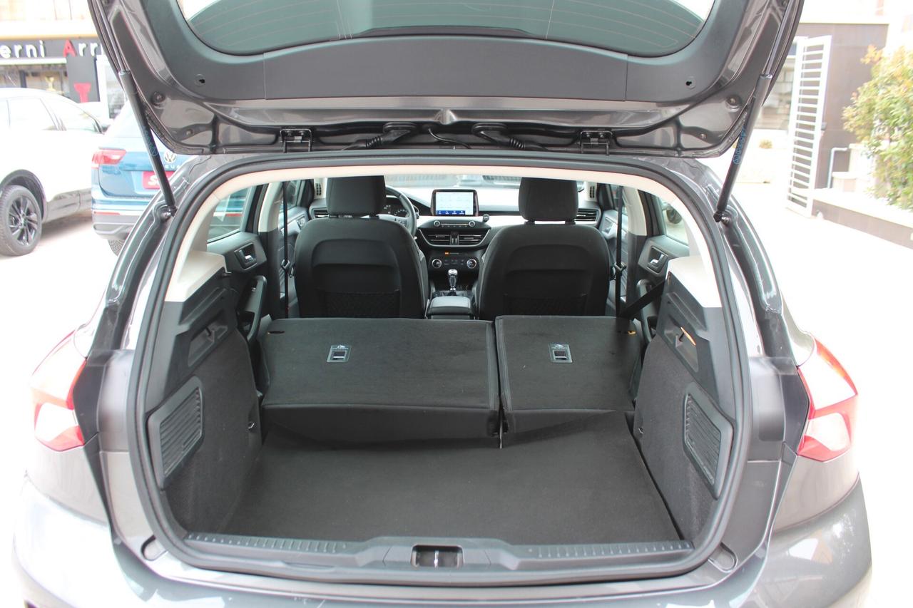 Ford Focus 1.5 EcoBlue 120 CV 5p. Business