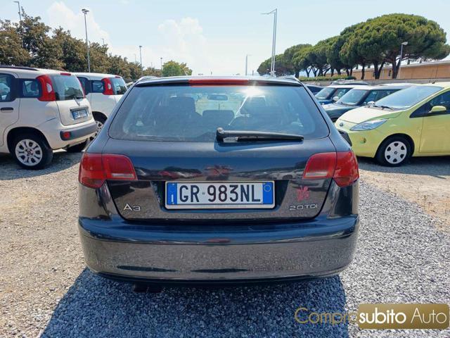AUDI A3 SPB 2.0 TDI F.AP. quattro Ambition