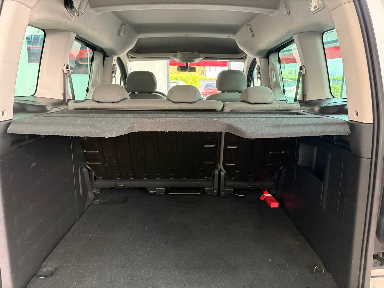 Citroen Berlingo Multispace