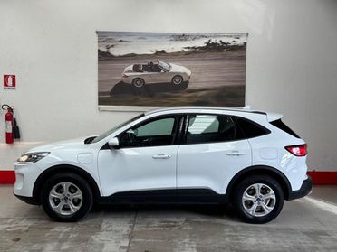 FORD Kuga 2.5 Plug In Hybrid 225 CV CVT 2WD Connect
