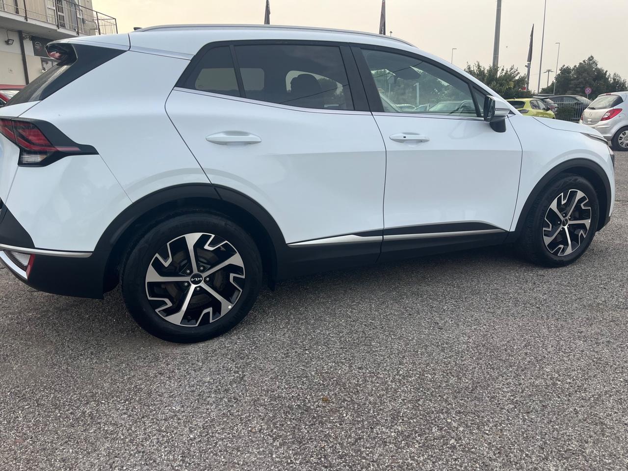 Kia Sportage 1.6 CRDI 136 CV 2WD Mild Hybrid Business Class